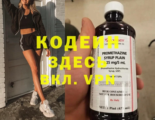 крисы Бородино