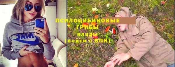 а пвп мука Белокуриха