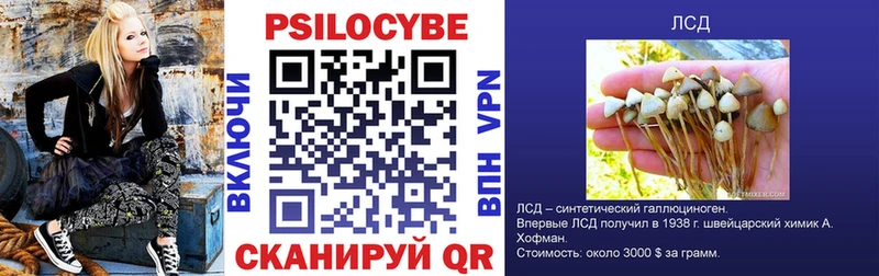 Галлюциногенные грибы прущие грибы  Балахна 