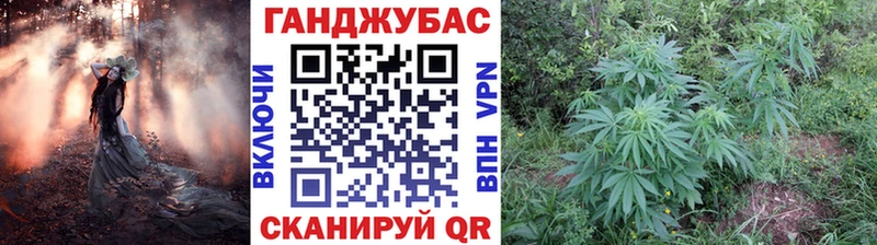 Шишки марихуана гибрид Балахна